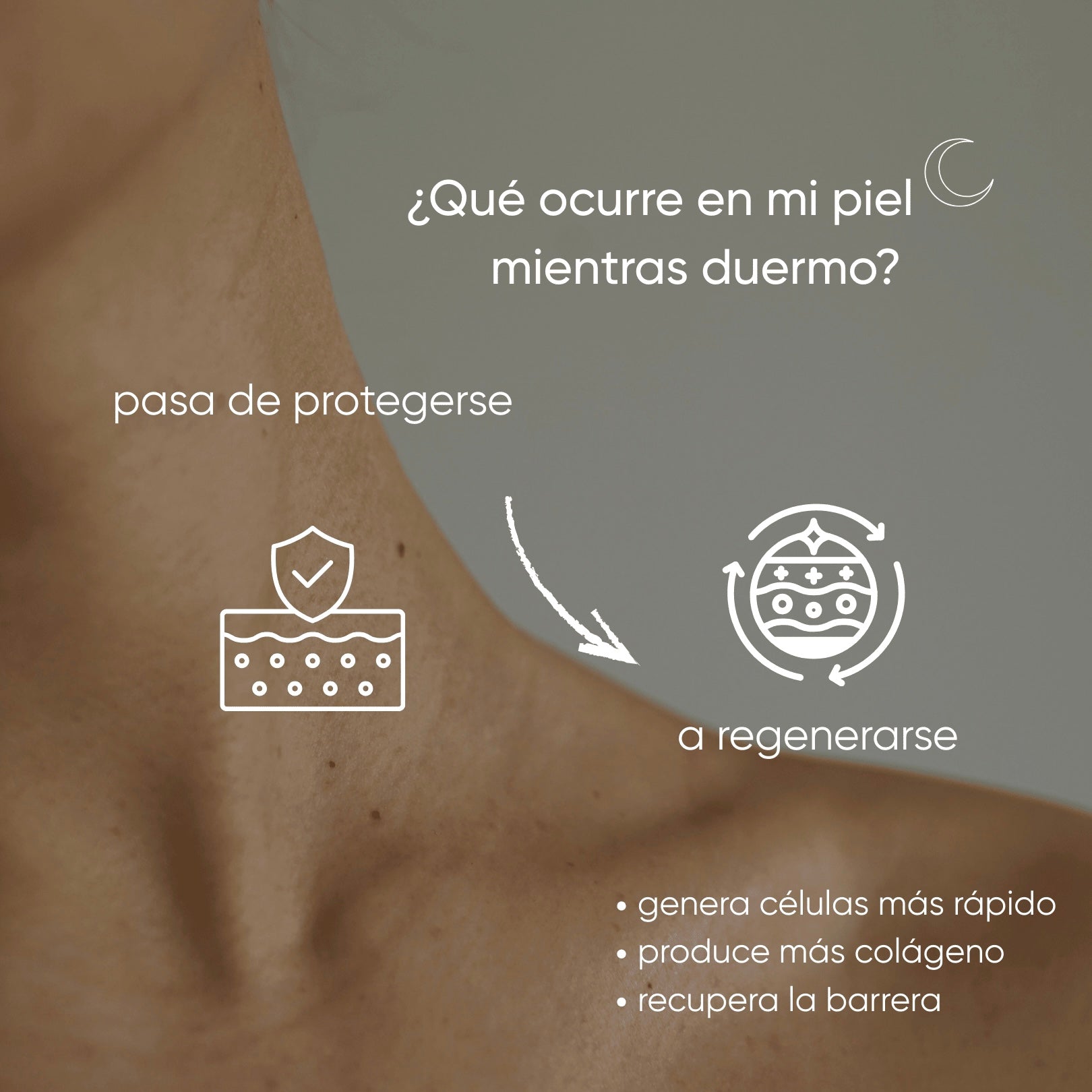 El proceso de la piel durante la noche