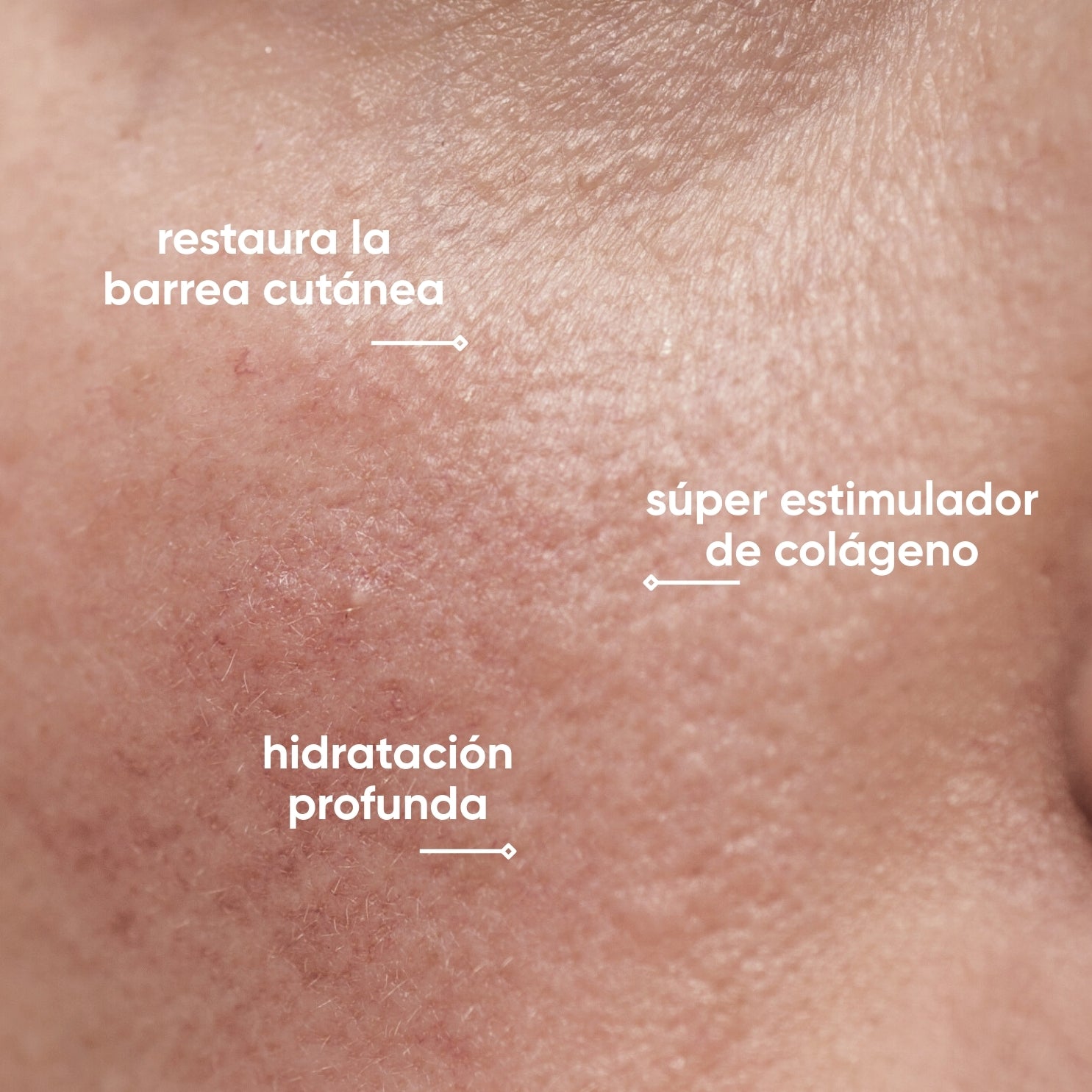 Serum Madre Repair de células madre edición limitada